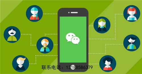 沈陽公眾號開發創新輝煌